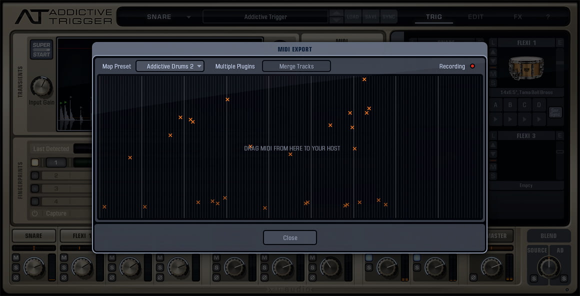 Xln audio ds-10 drum shaper 1.0.3 for mac